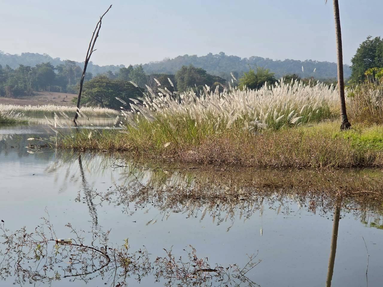 ภาพประกอบที่ 3