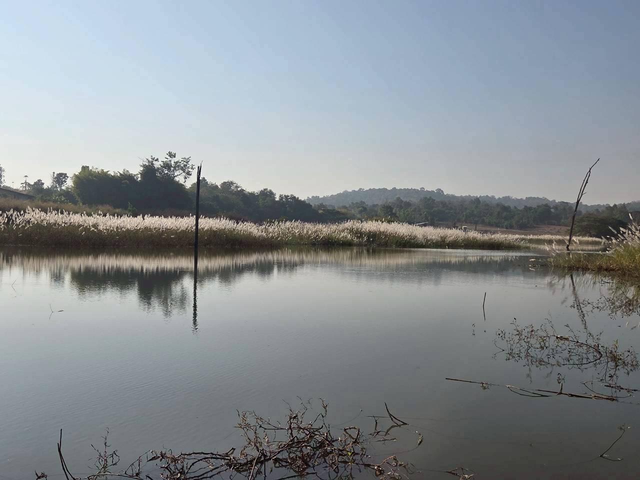 ภาพประกอบที่ 4