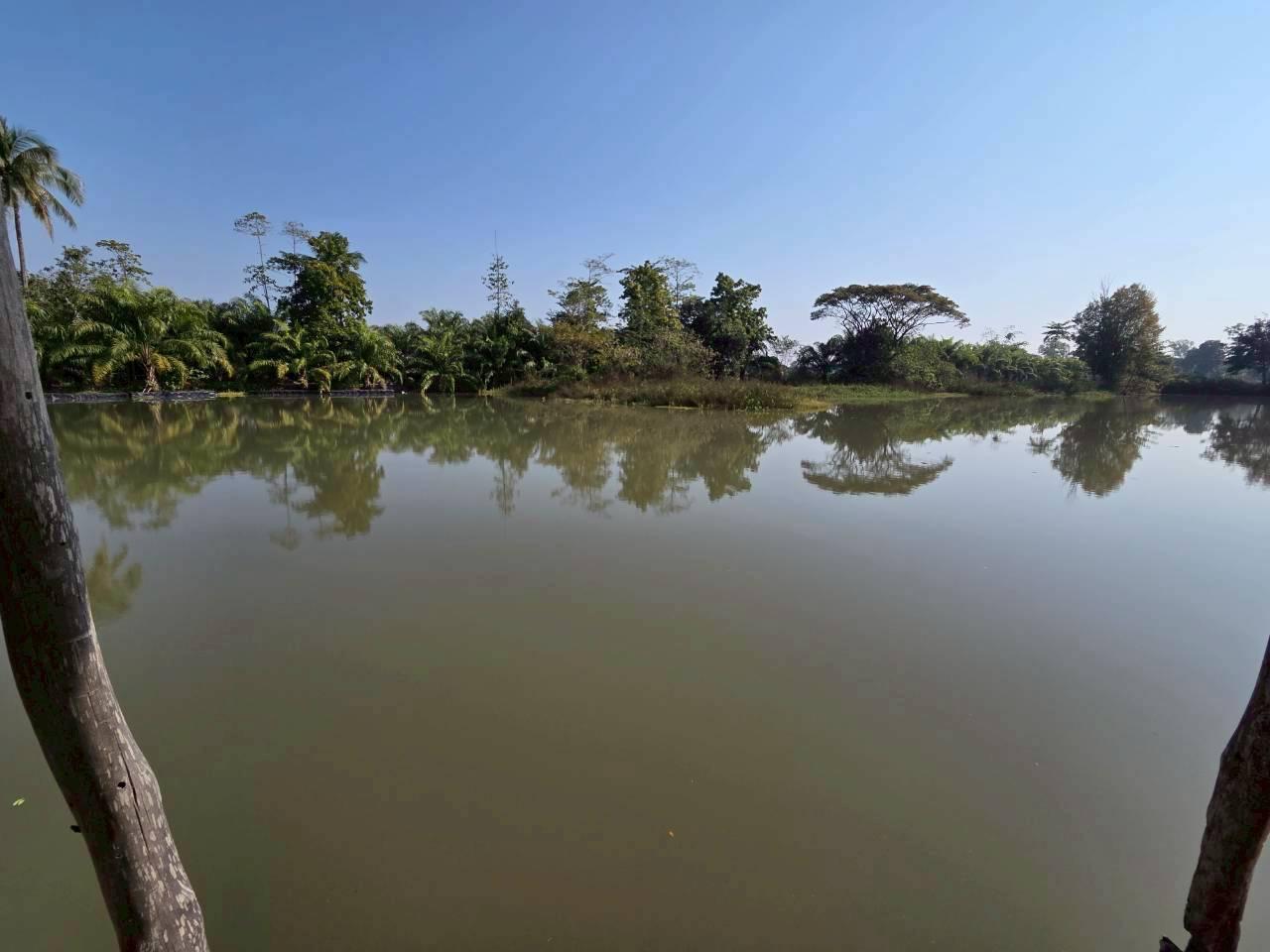 ภาพประกอบที่ 11