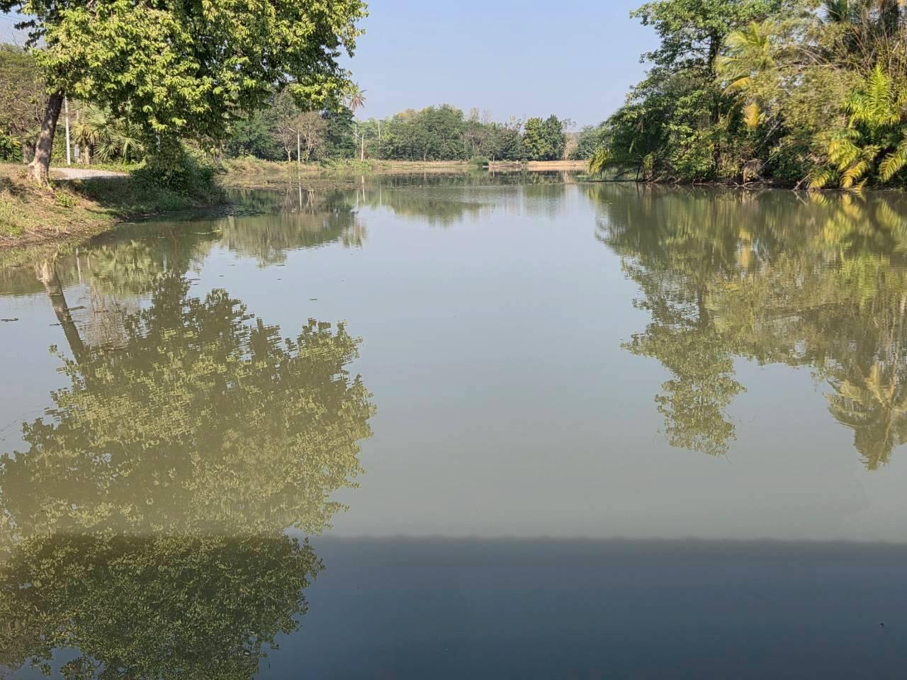 ภาพประกอบที่ 12