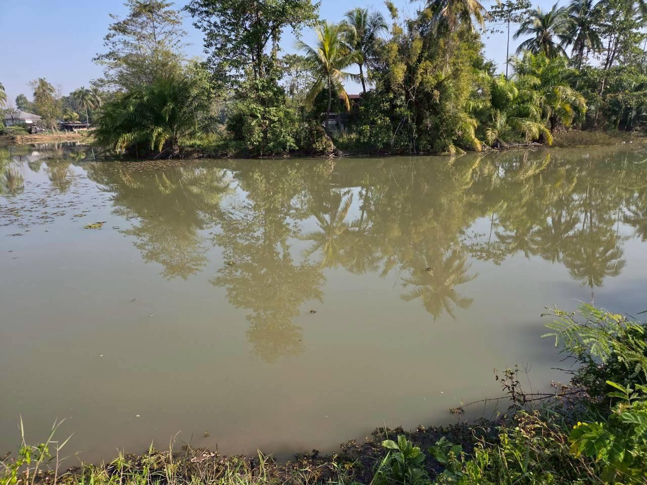 ภาพประกอบที่ 13