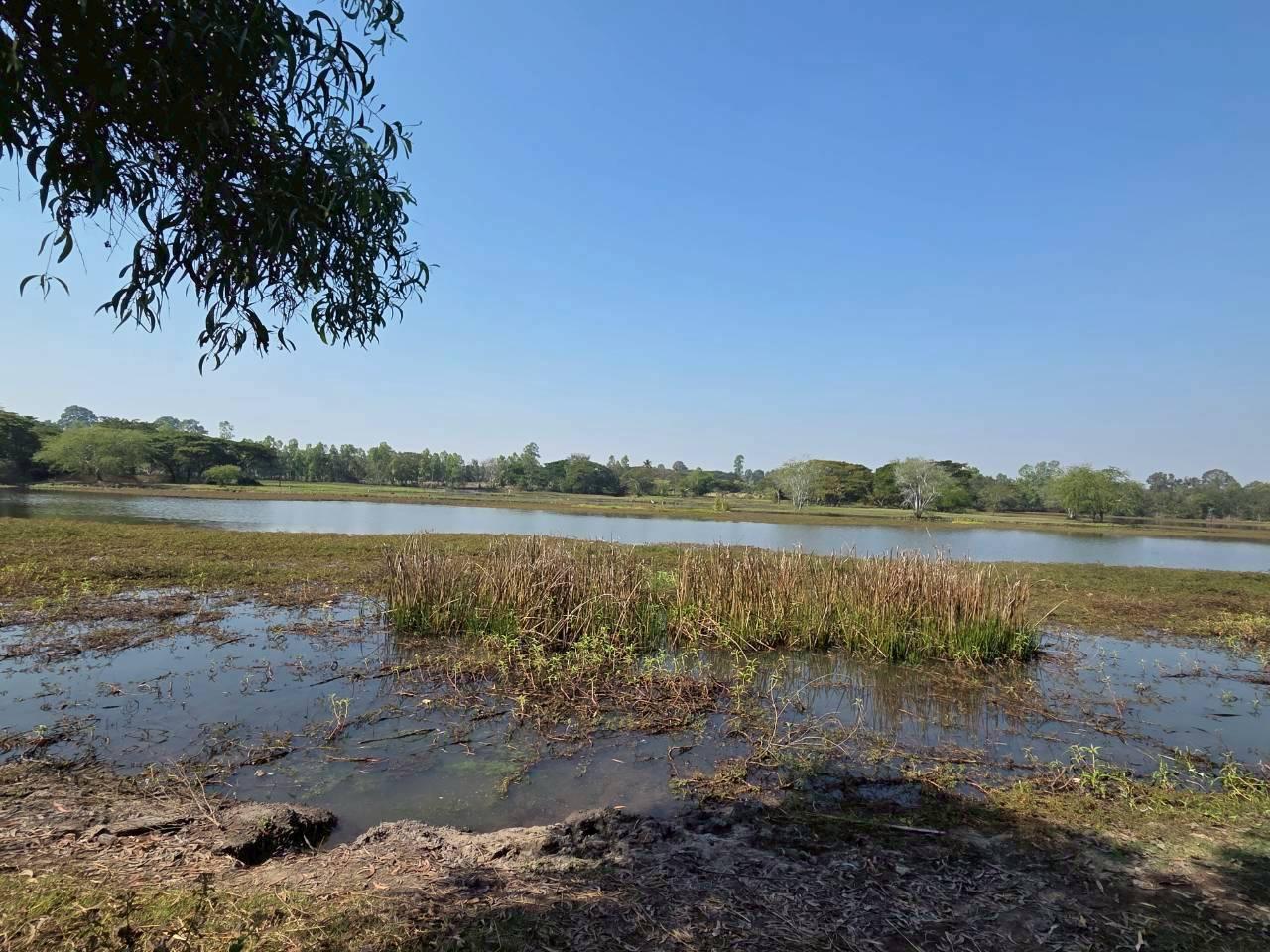 ภาพประกอบที่ 31