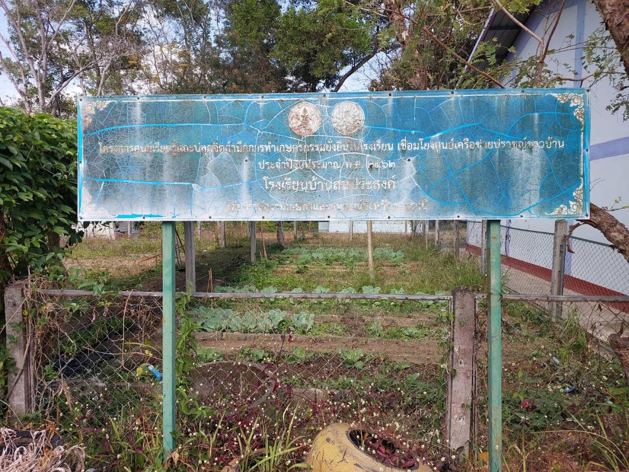 ภาพประกอบที่ 12