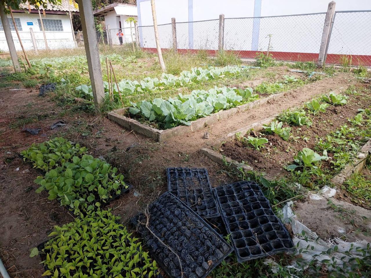 ภาพประกอบที่ 14