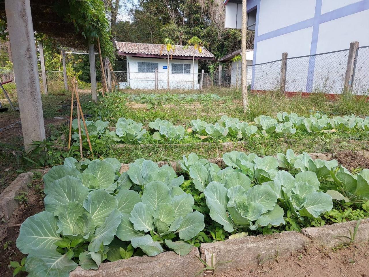 ภาพประกอบที่ 15