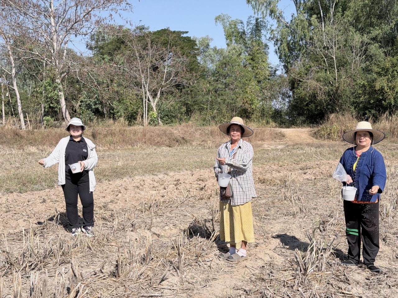 ภาพประกอบที่ 3