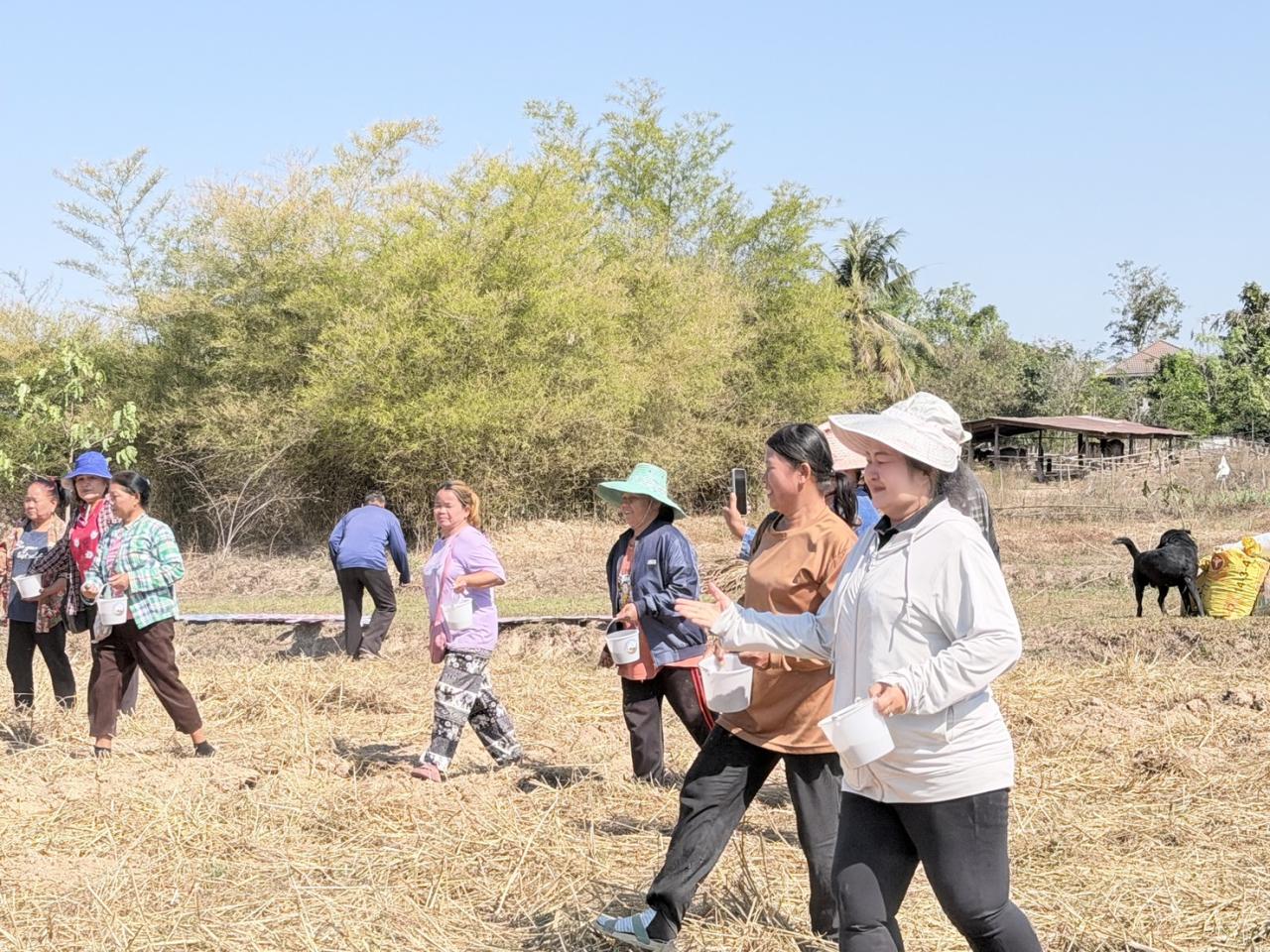 ภาพประกอบที่ 7