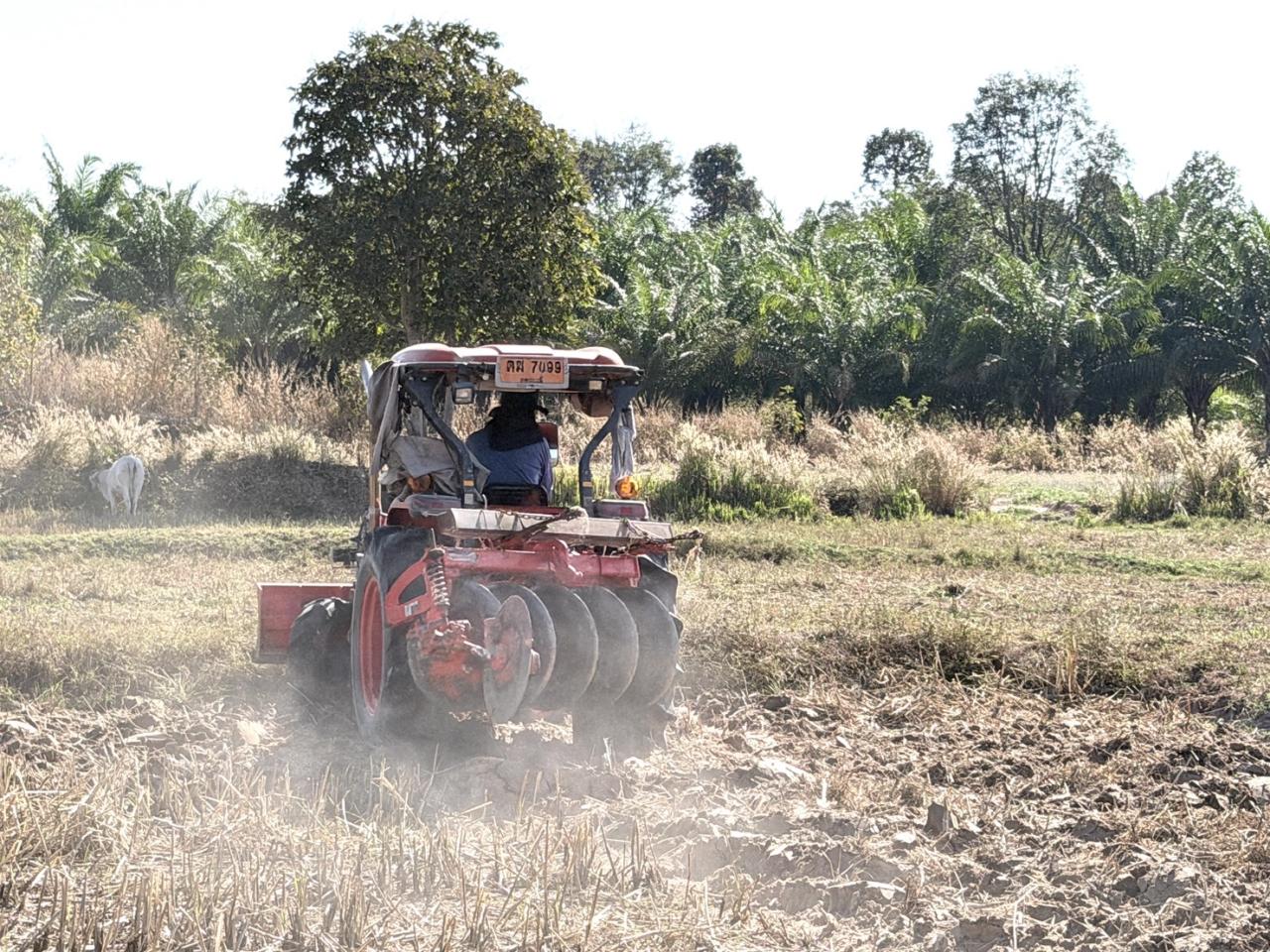 ภาพประกอบที่ 12