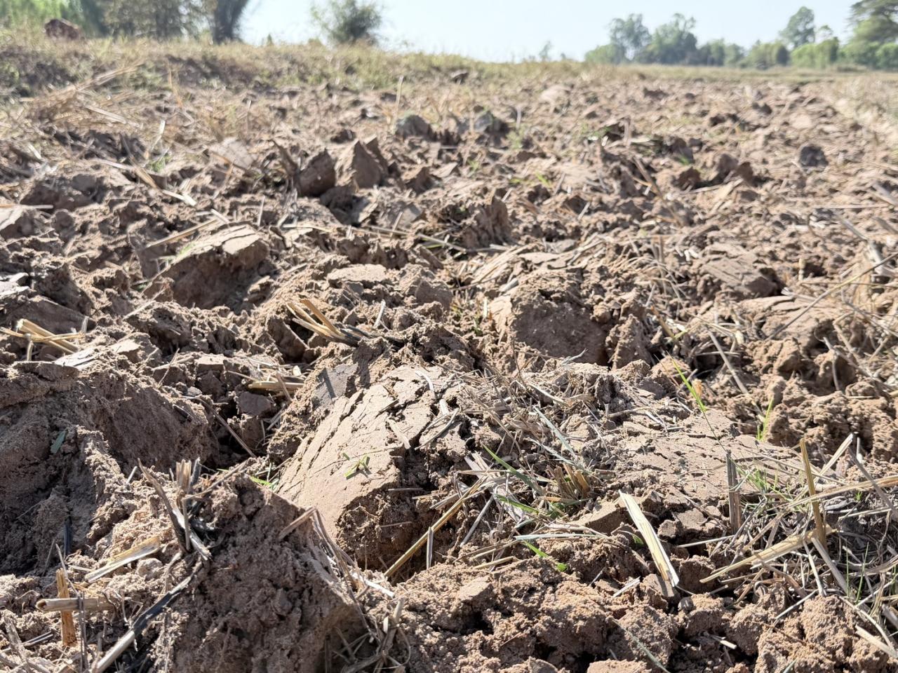 ภาพประกอบที่ 13