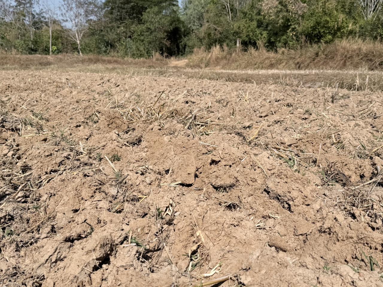 ภาพประกอบที่ 14