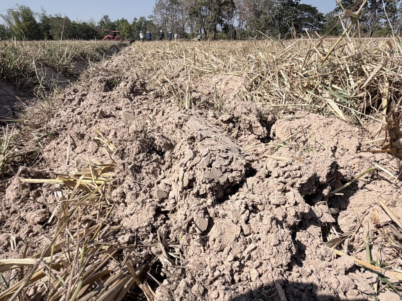 ภาพประกอบที่ 15