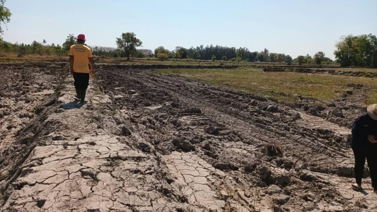 ภาพประกอบที่ 5