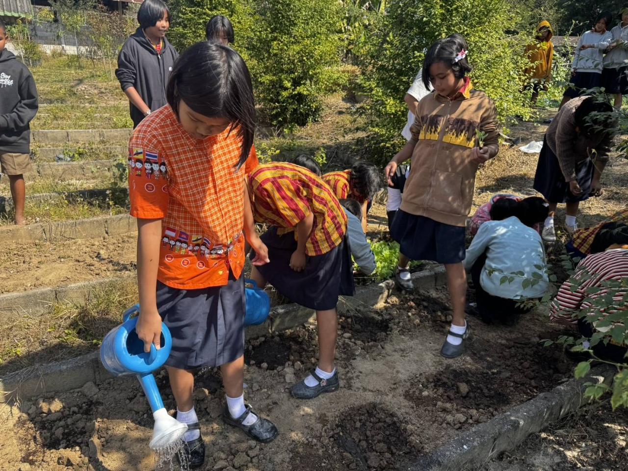 ภาพประกอบที่ 5