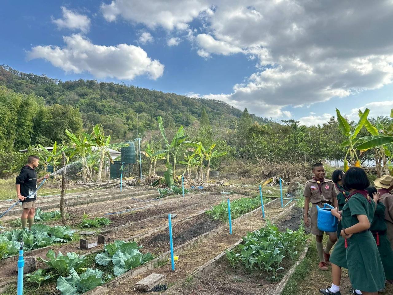 ภาพประกอบที่ 10
