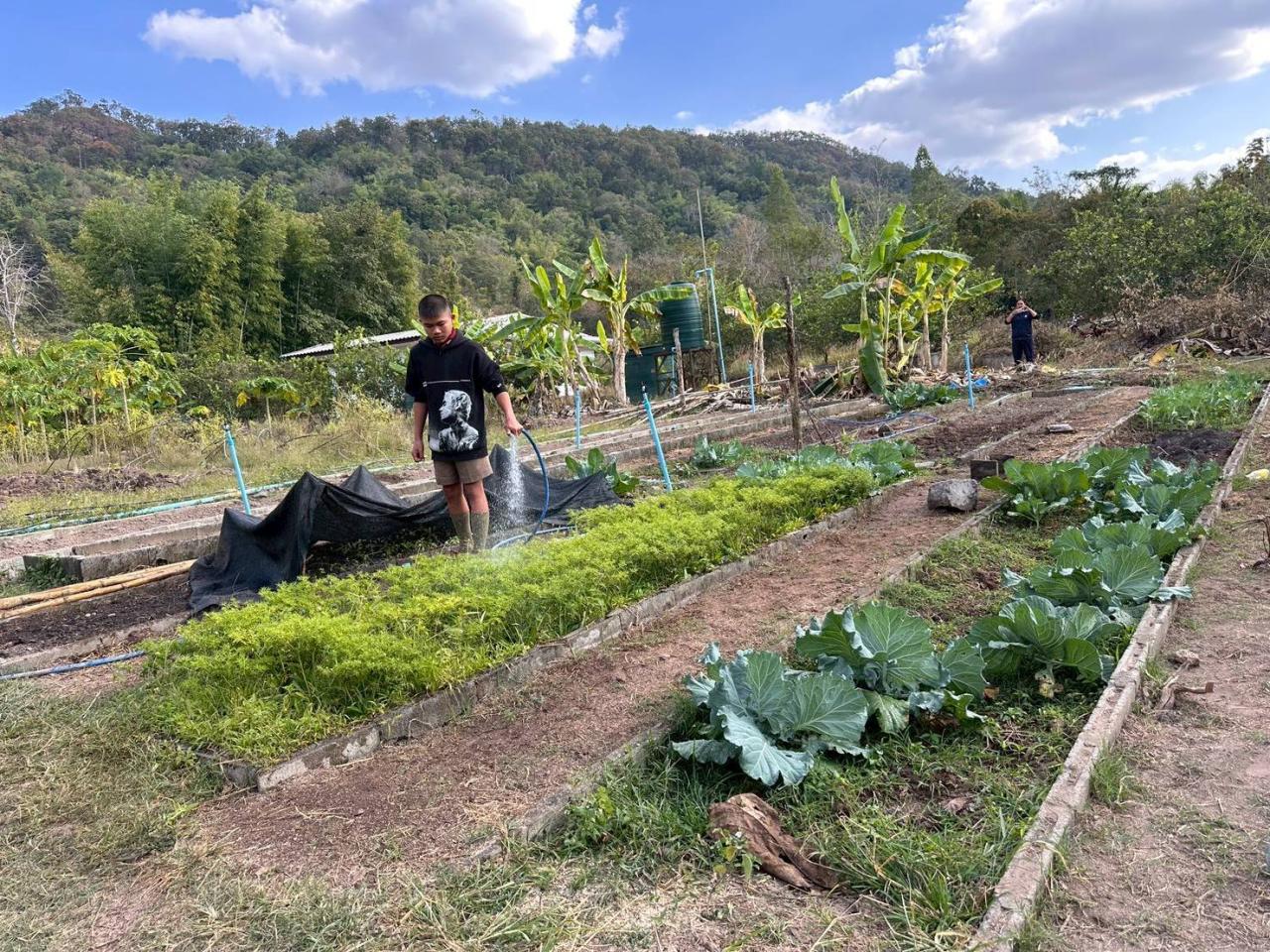 ภาพประกอบที่ 11