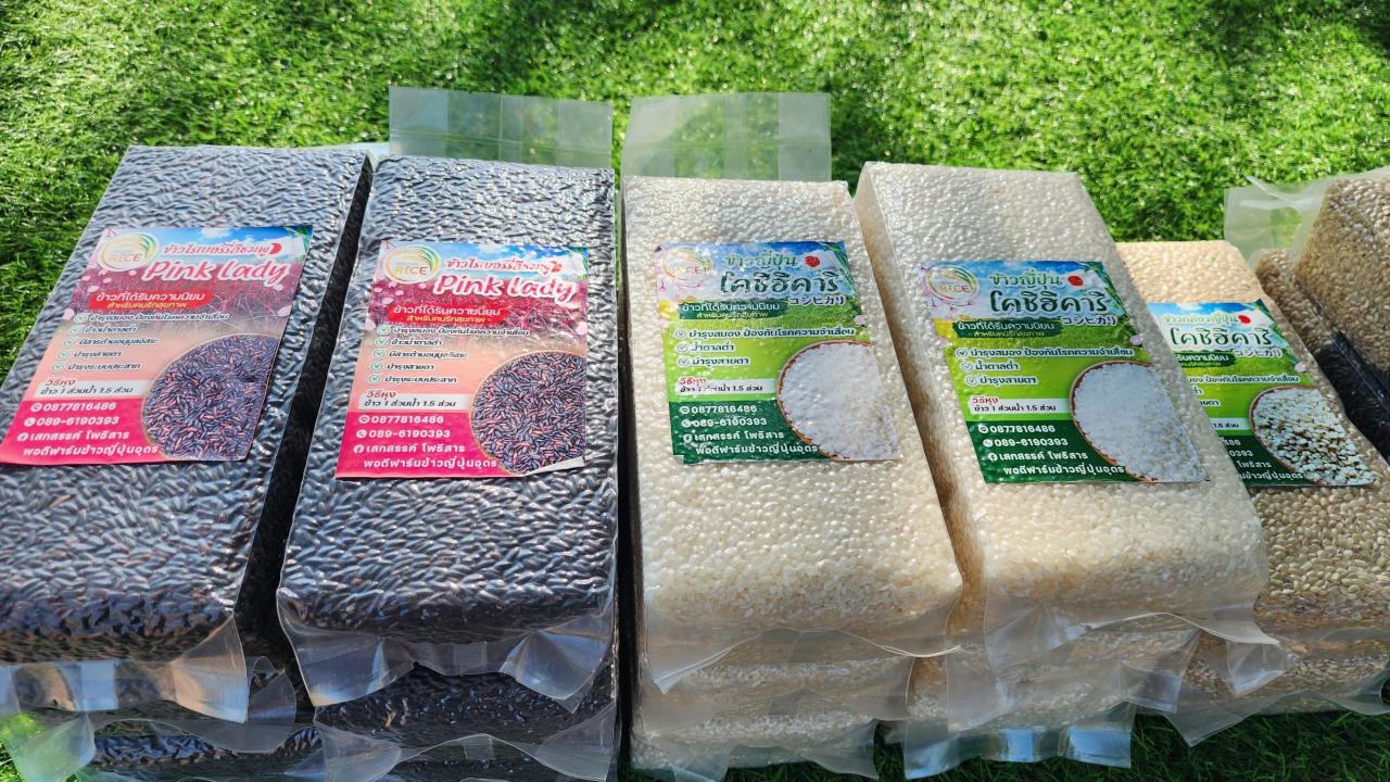 ภาพประกอบที่ 12