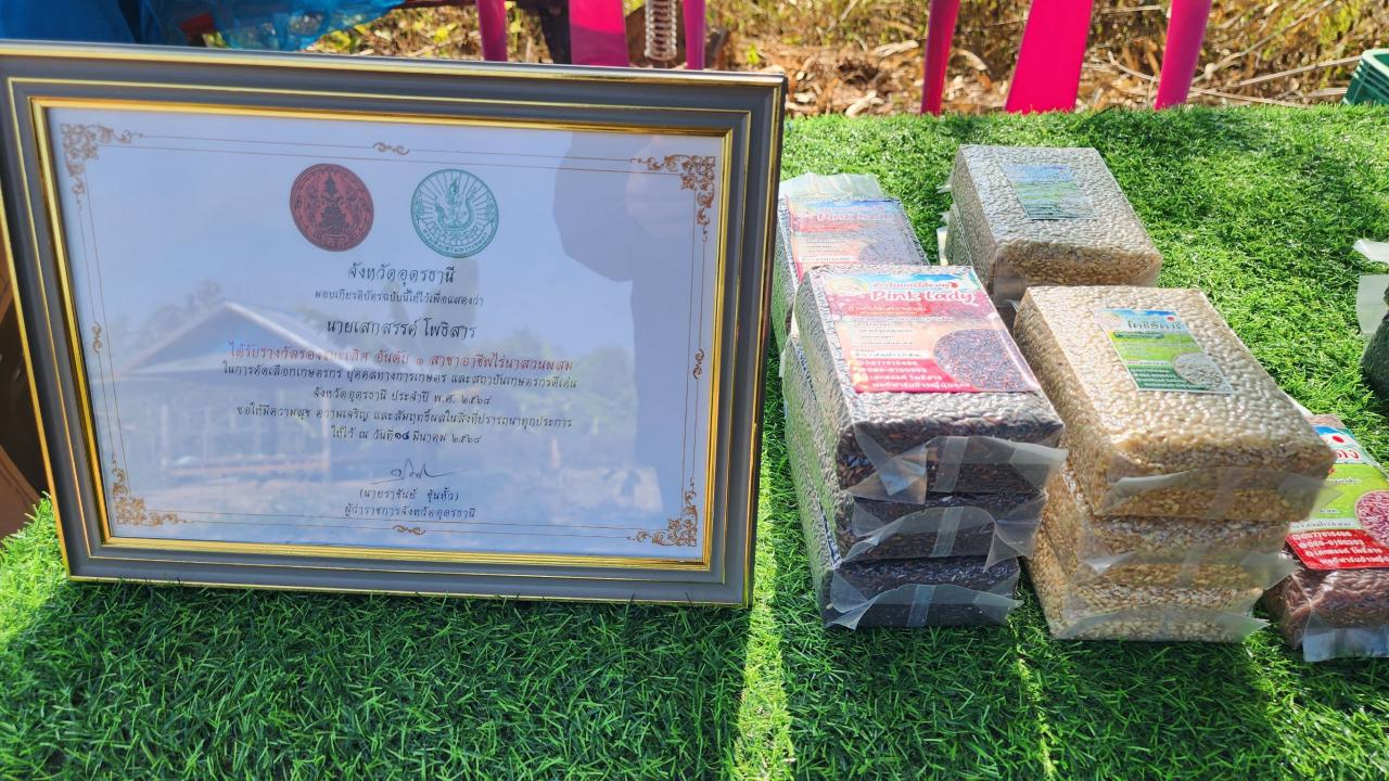 ภาพประกอบที่ 13