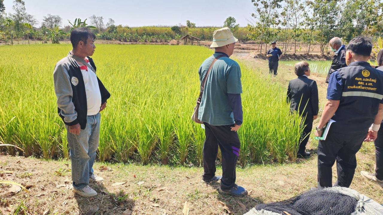 ภาพประกอบที่ 15