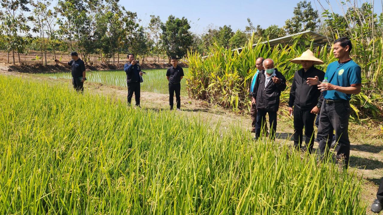 ภาพประกอบที่ 16