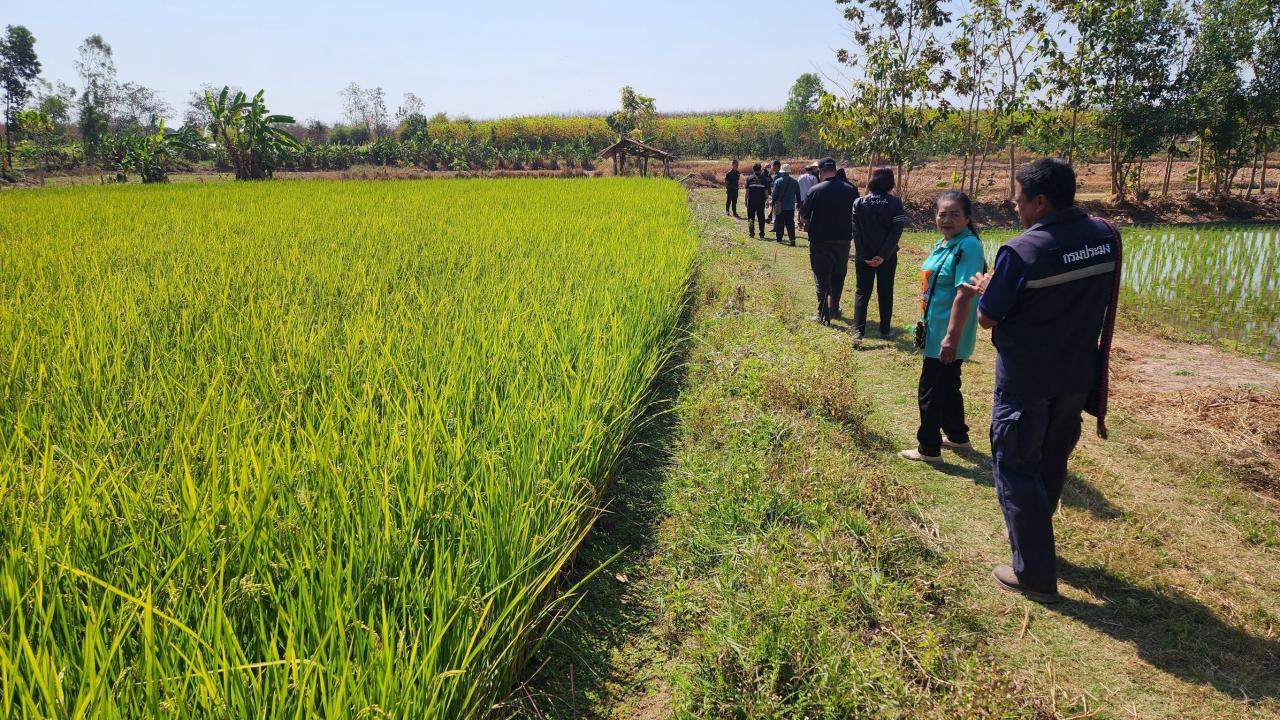 ภาพประกอบที่ 17
