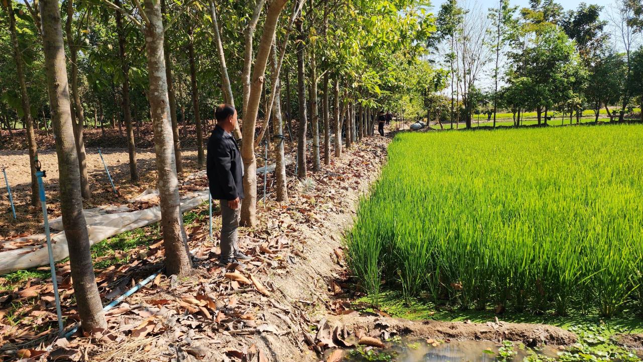 ภาพประกอบที่ 21