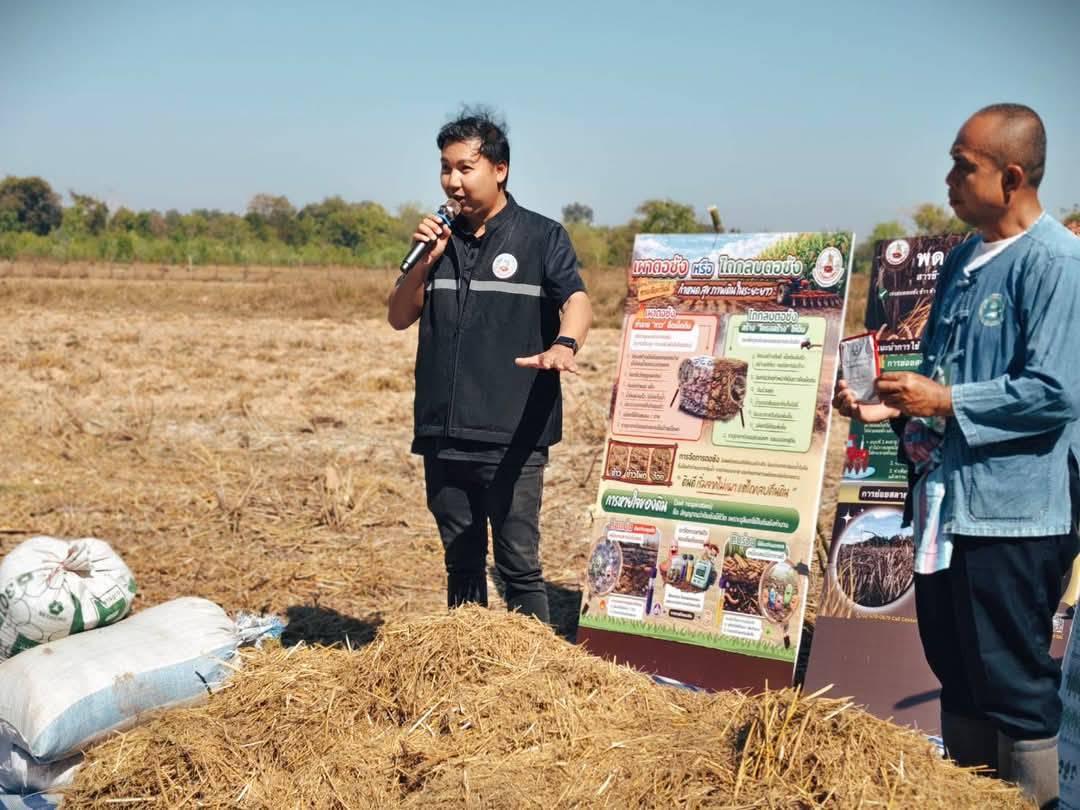 ภาพประกอบที่ 11