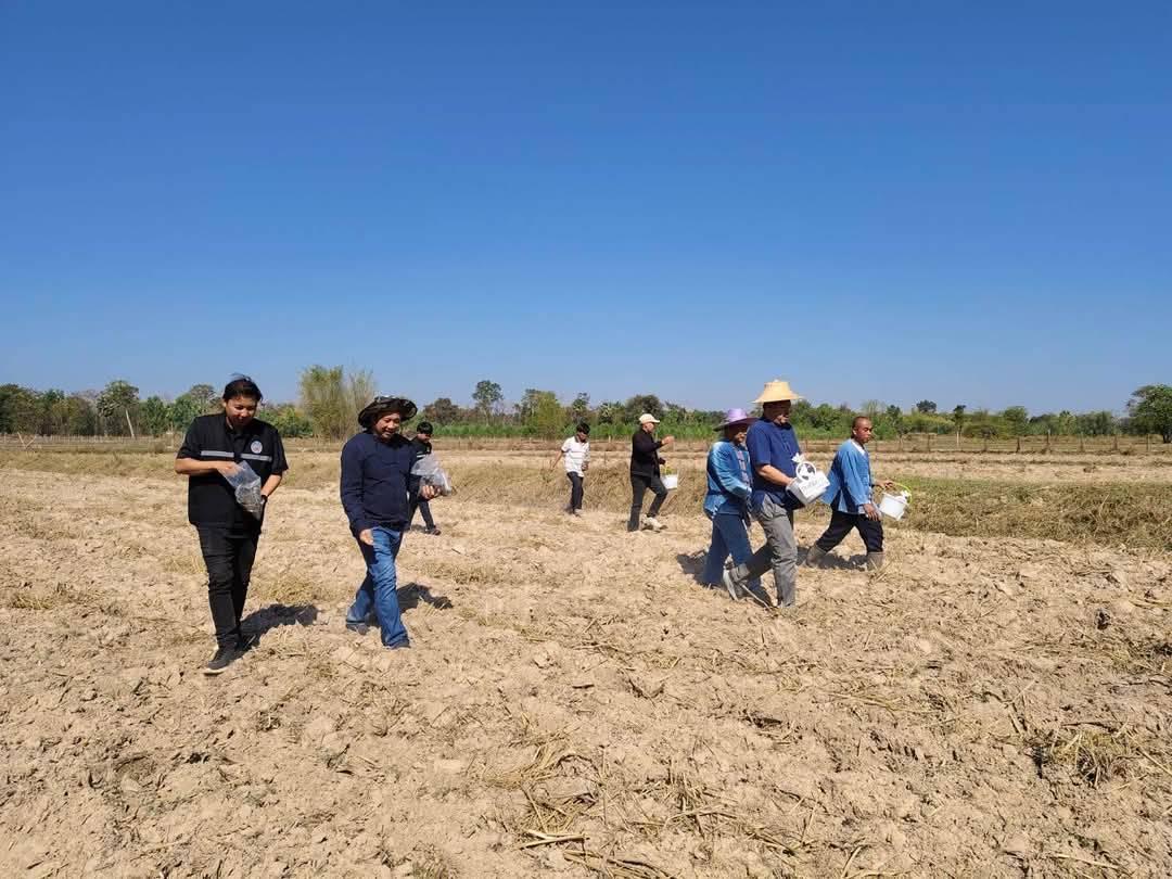 ภาพประกอบที่ 17