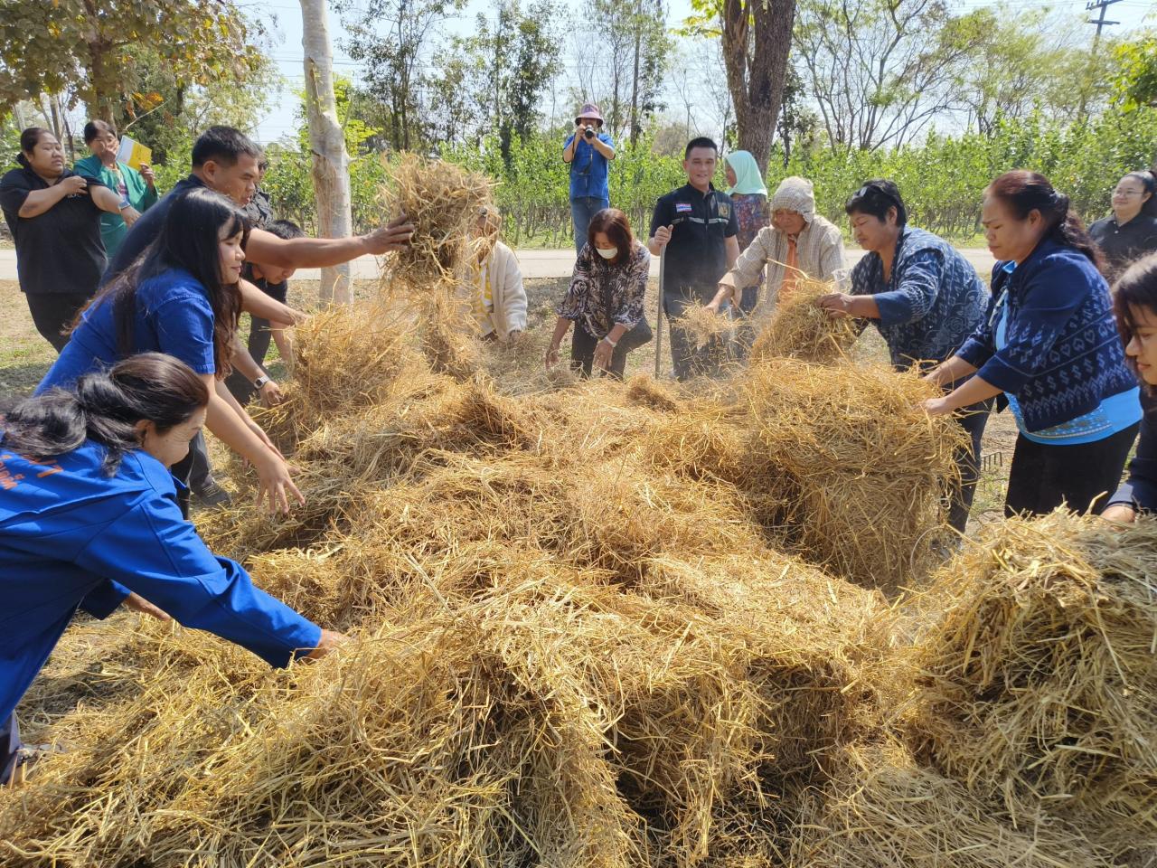 ภาพประกอบที่ 6