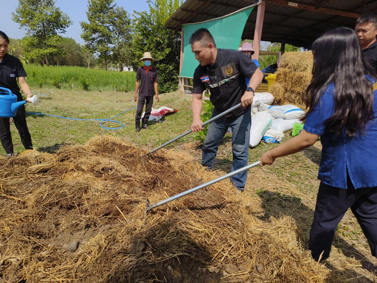 ภาพประกอบที่ 8