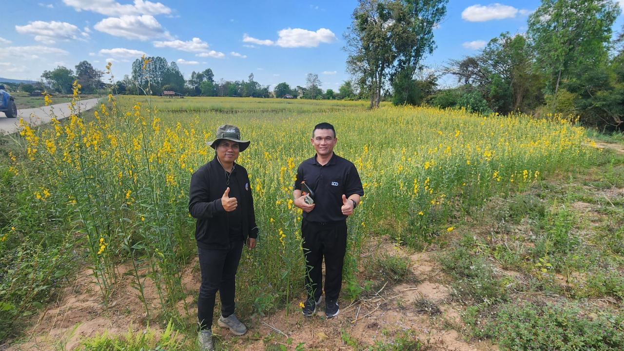 ภาพประกอบที่ 5