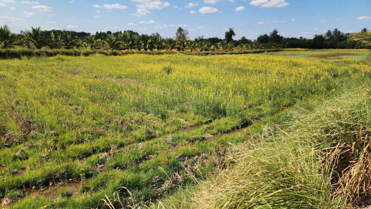 ภาพประกอบที่ 9