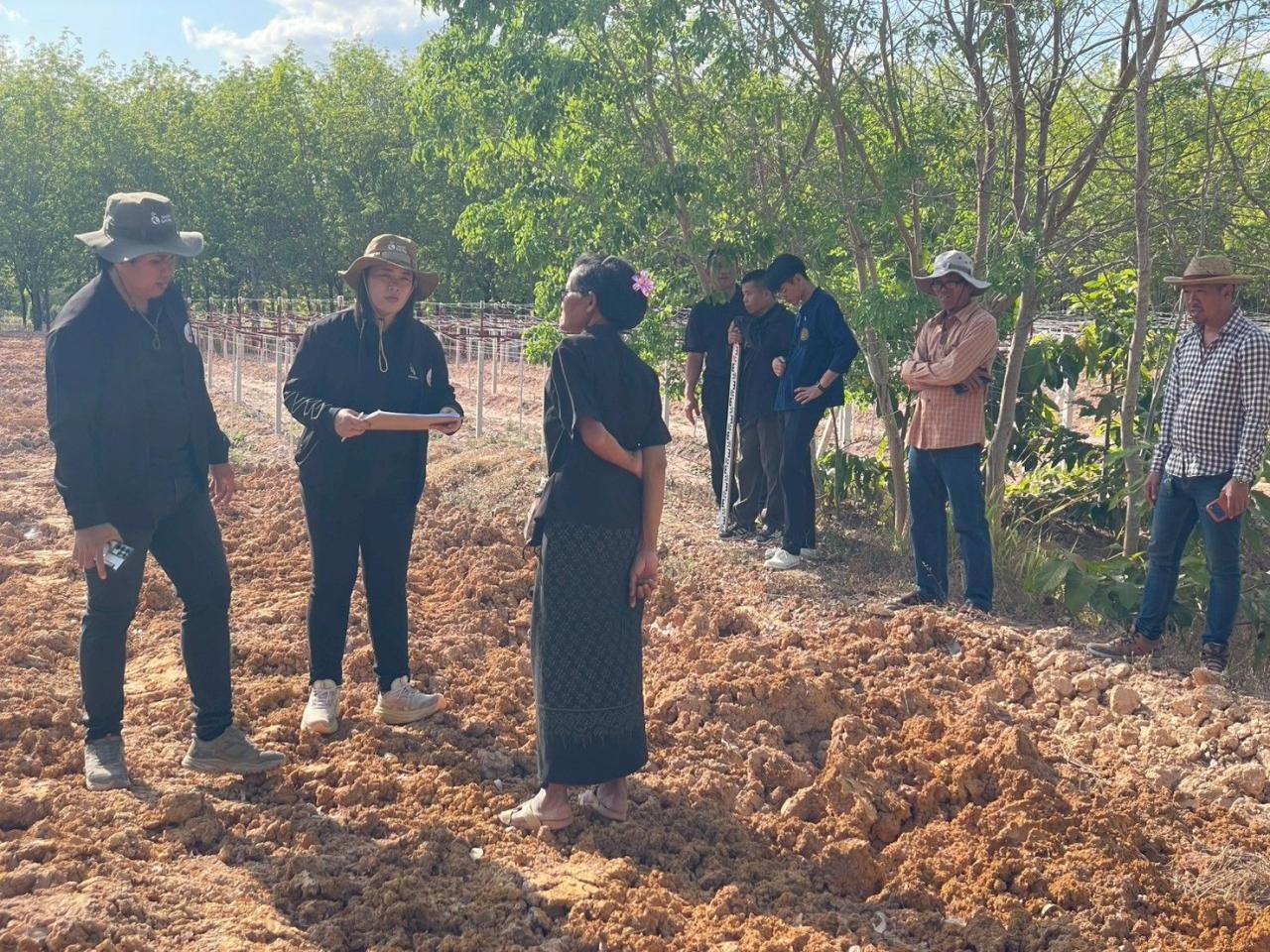 ภาพประกอบที่ 23