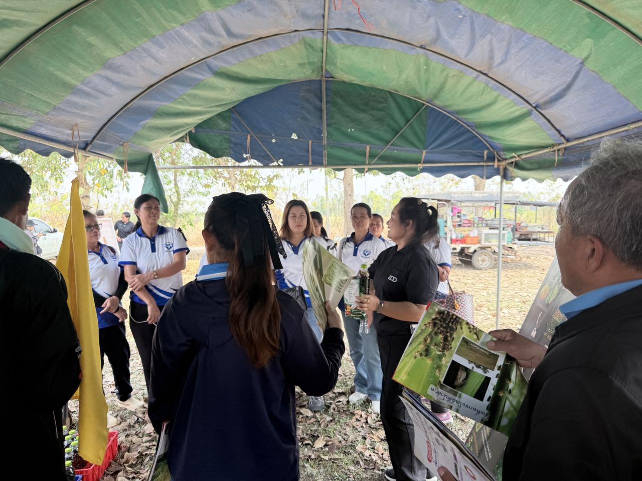 ภาพประกอบที่ 12