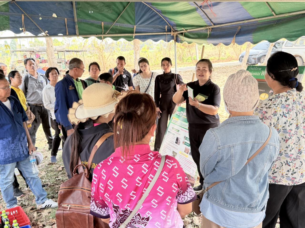 ภาพประกอบที่ 15