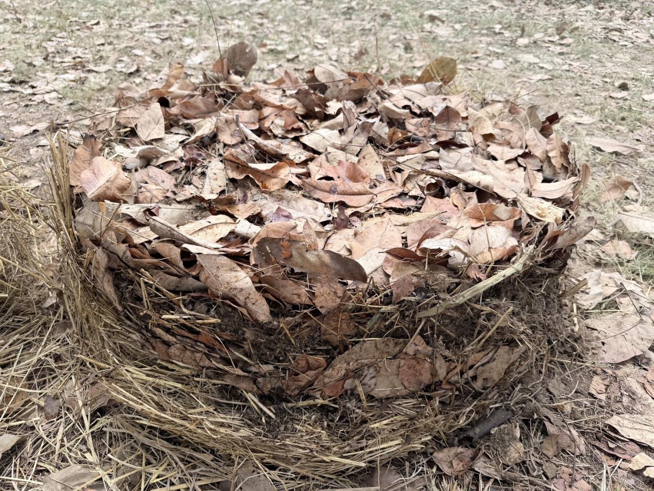 ภาพประกอบที่ 25