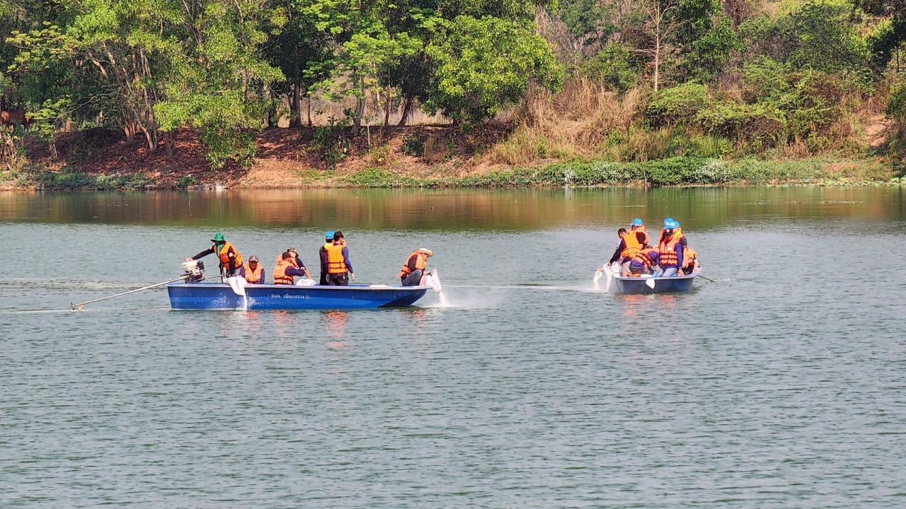 ภาพประกอบที่ 8