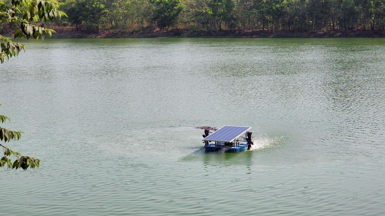 ภาพประกอบที่ 10