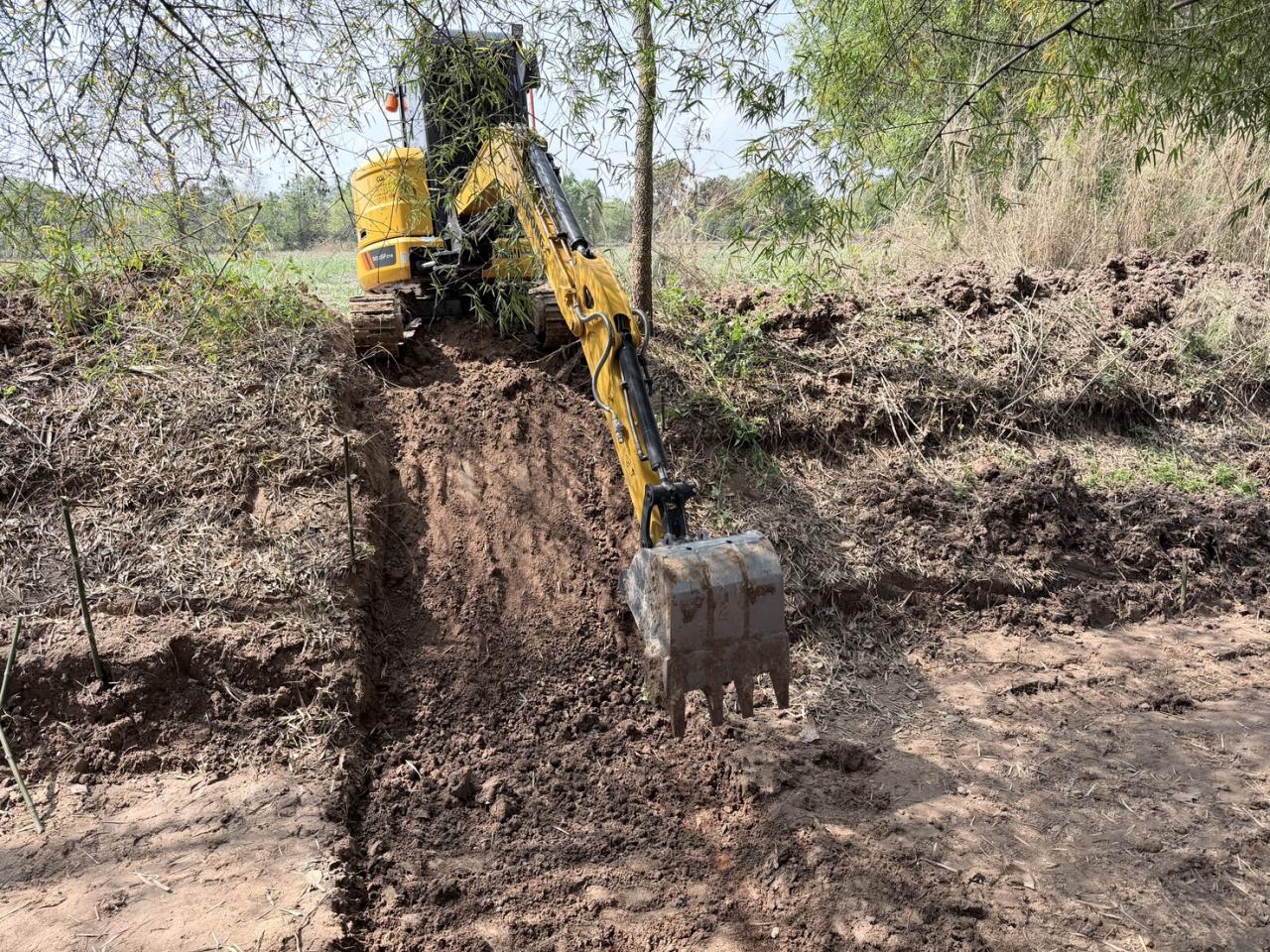 ภาพประกอบที่ 0