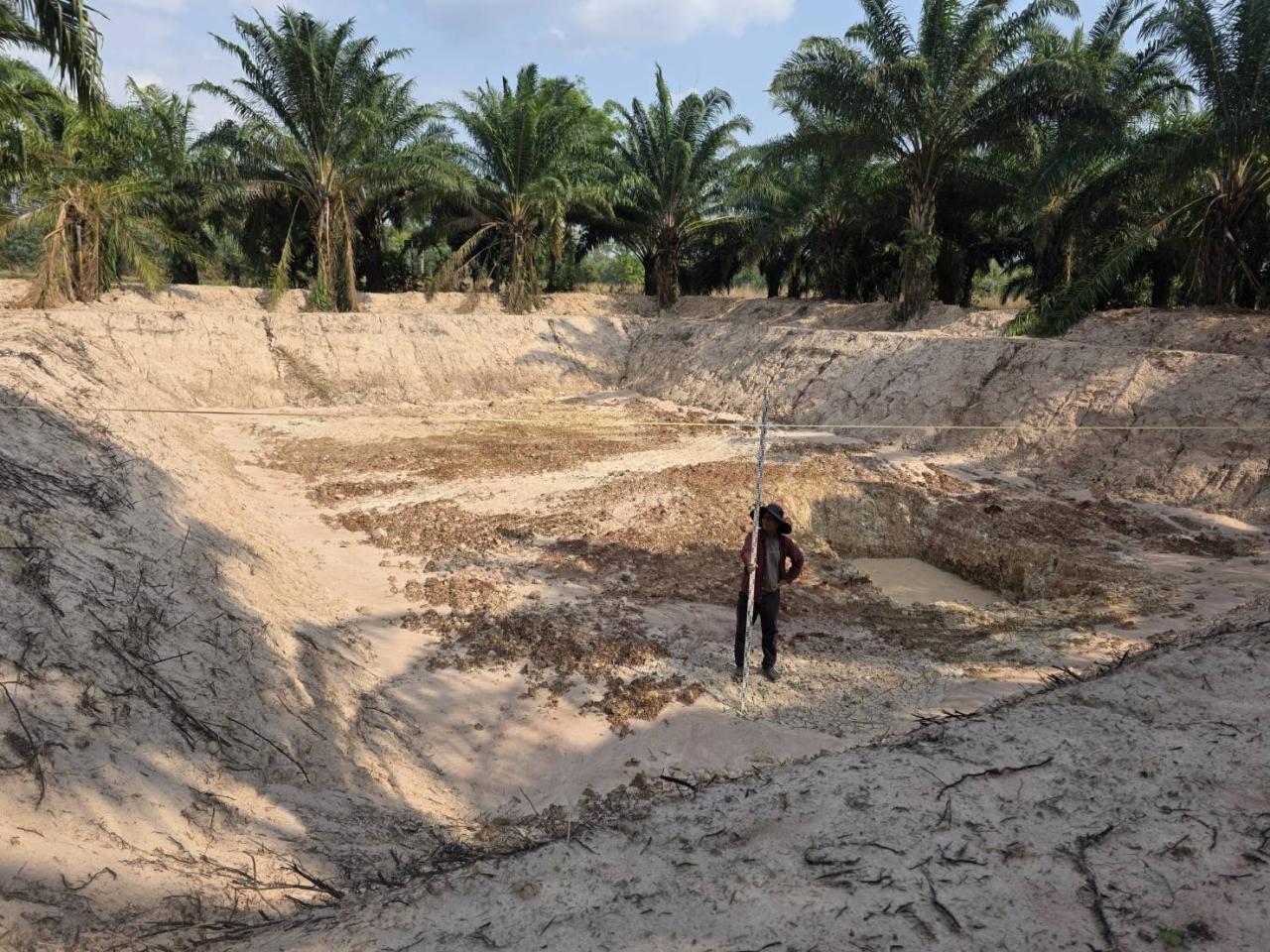 ภาพประกอบที่ 7