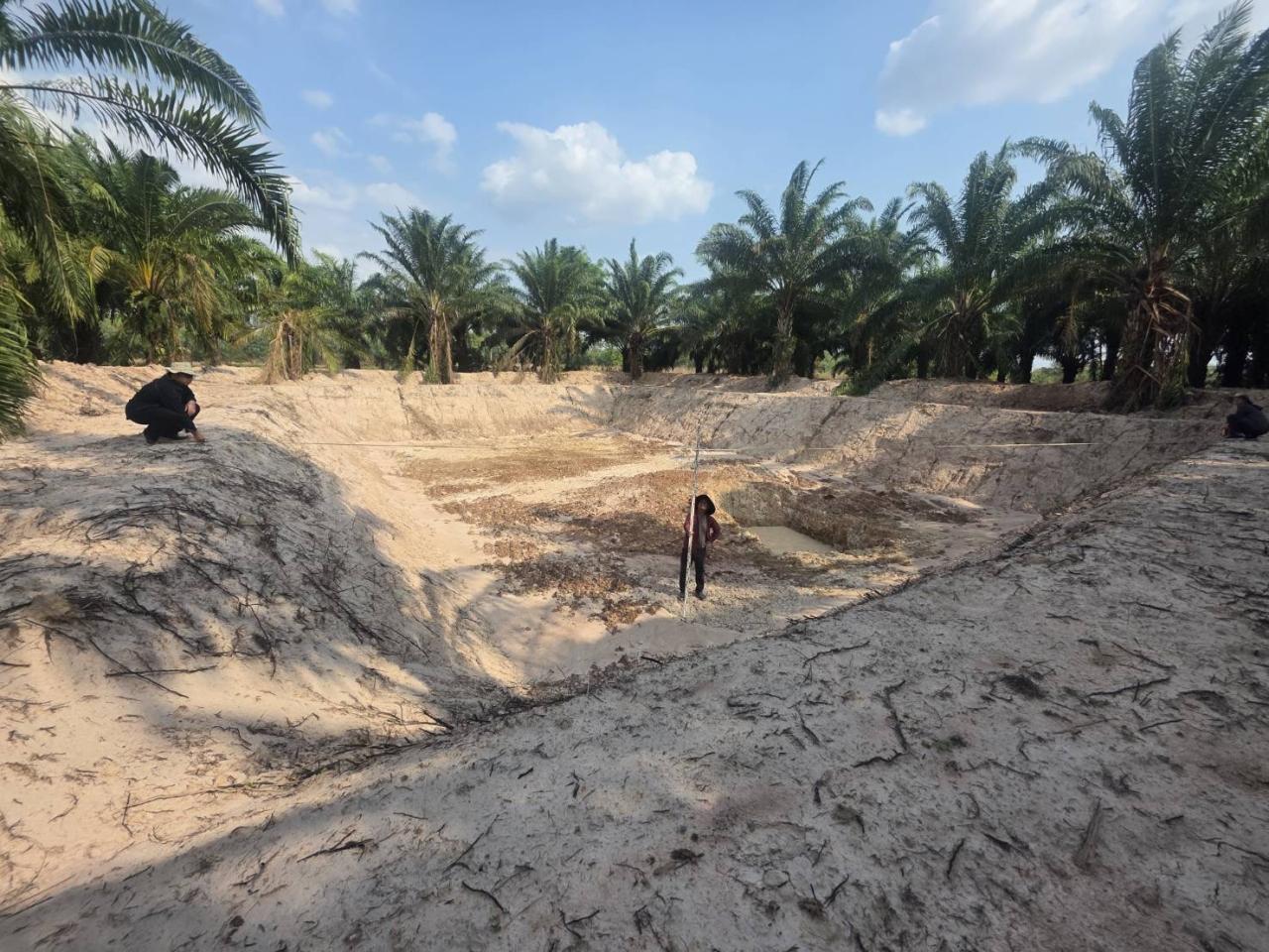 ภาพประกอบที่ 8