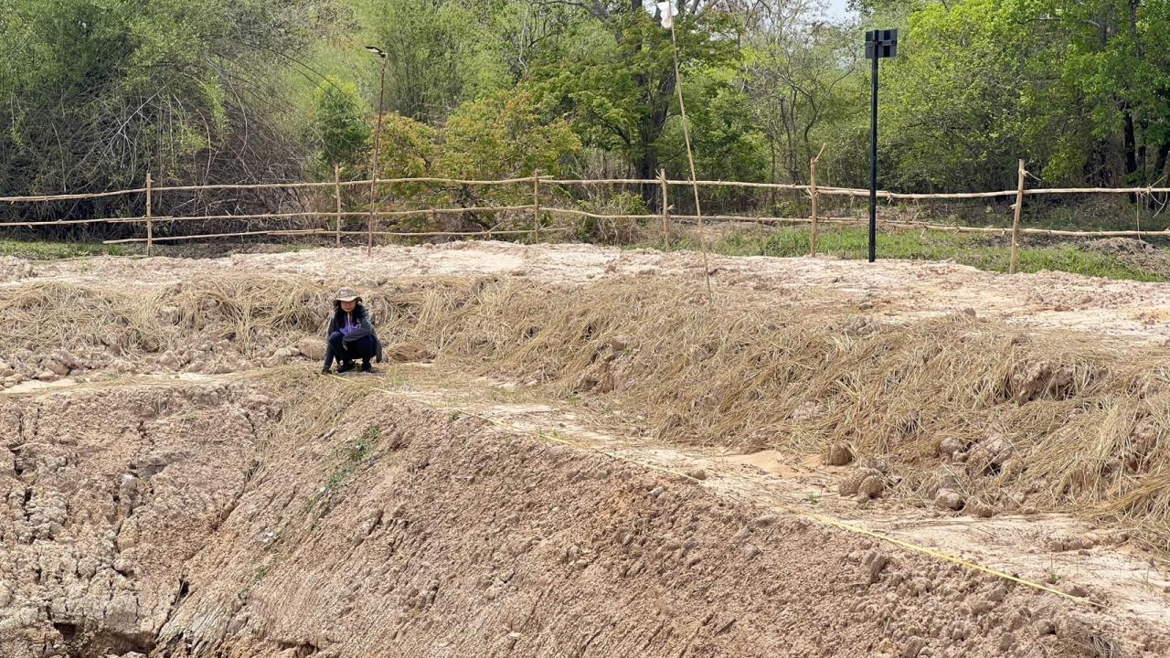 ภาพประกอบที่ 10