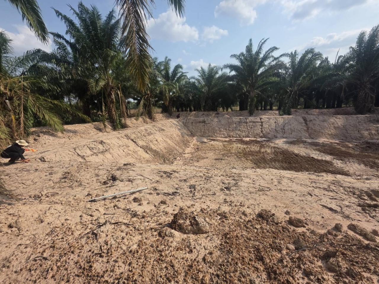 ภาพประกอบที่ 14