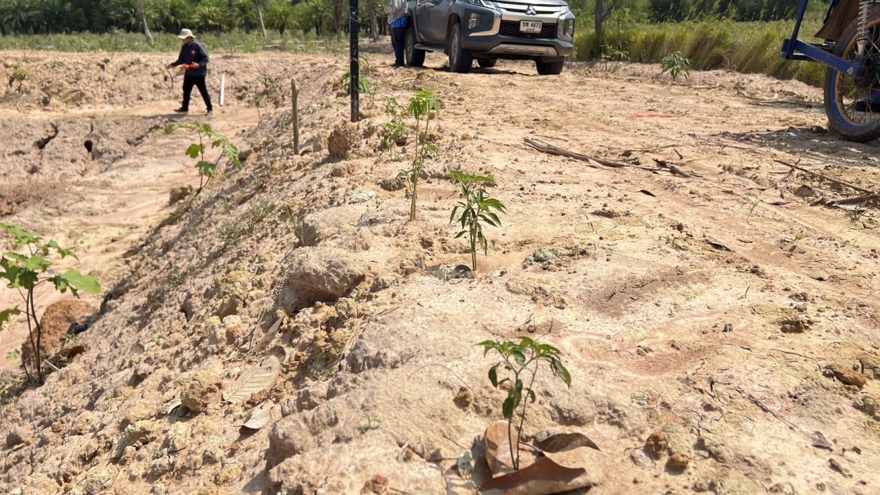 ภาพประกอบที่ 6