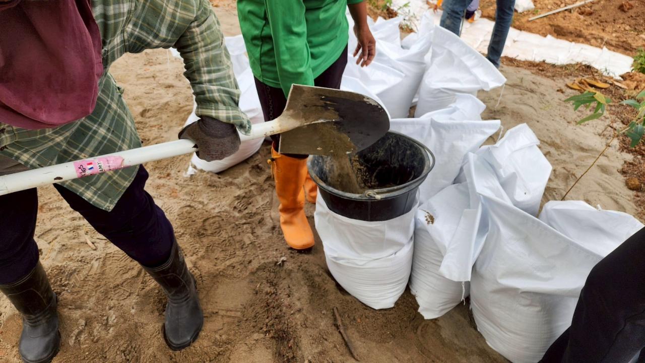 ภาพประกอบที่ 2