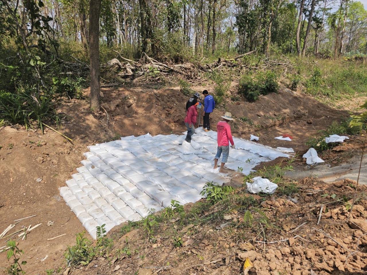 ภาพประกอบที่ 11