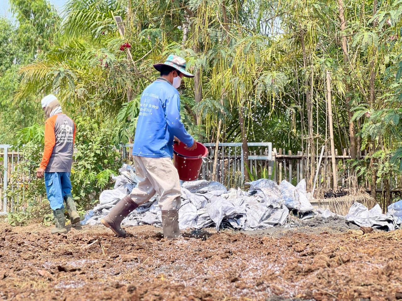 ภาพประกอบที่ 0