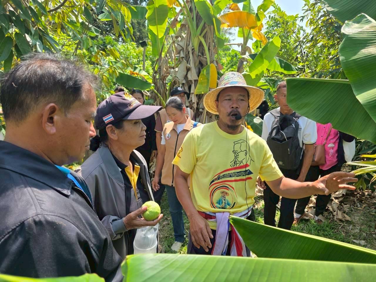 ภาพประกอบที่ 9