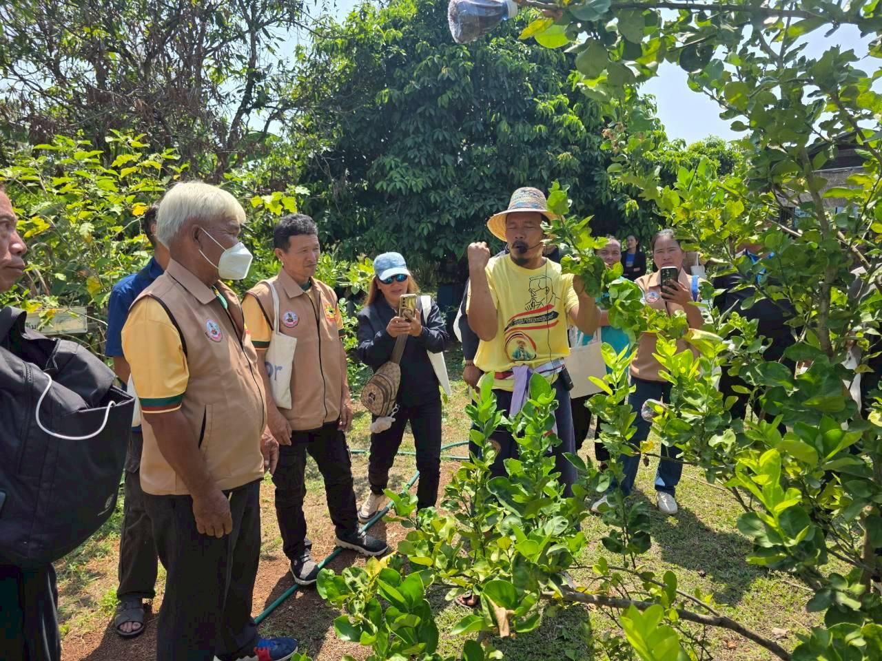 ภาพประกอบที่ 12