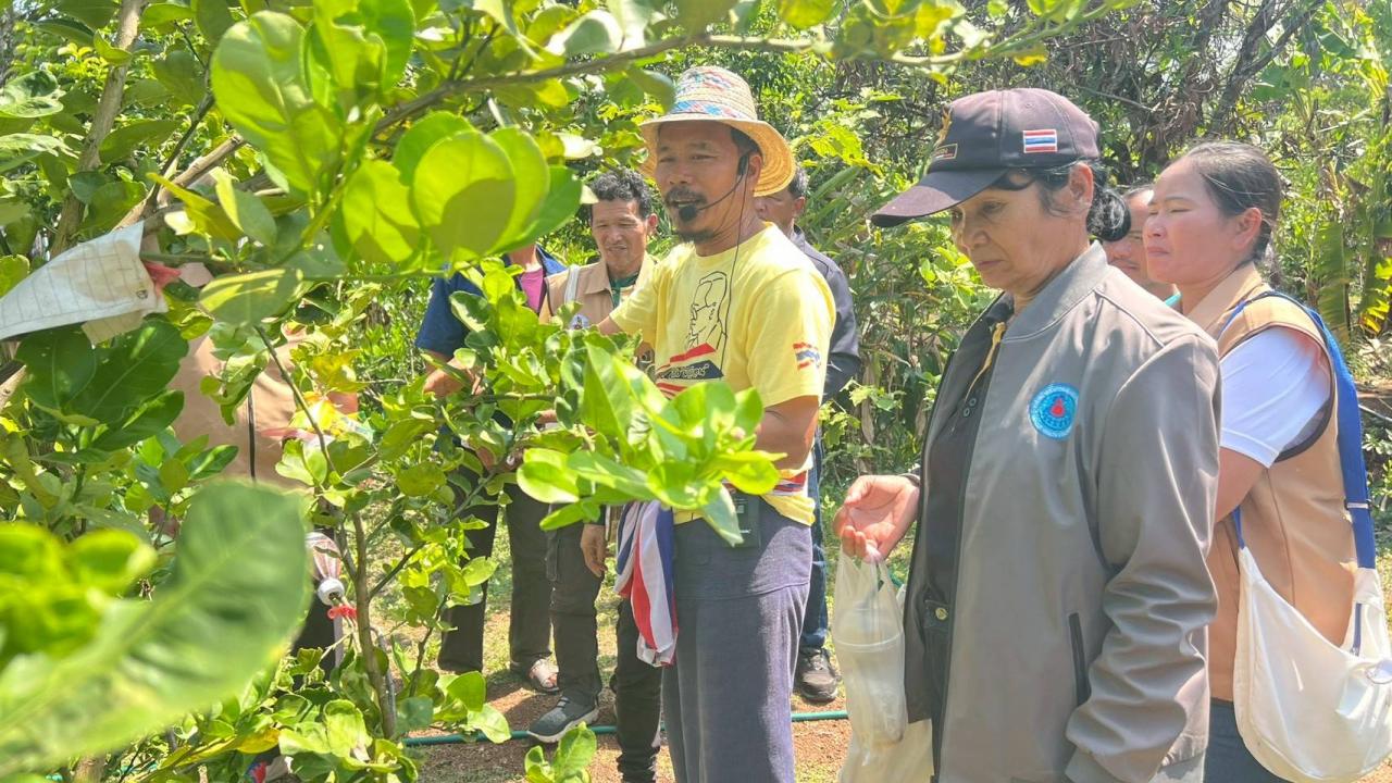 ภาพประกอบที่ 14