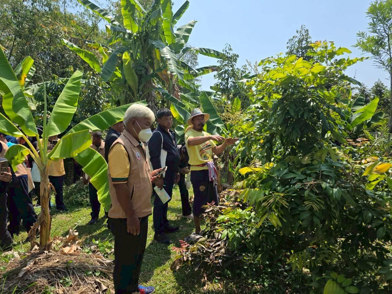 ภาพประกอบที่ 16
